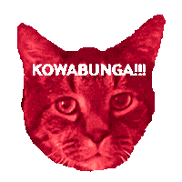 Cat Rainbow Sticker