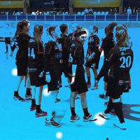 fbsjihlava girls friendship florbal fbsjihlava GIF