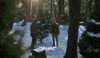 Christmas Tree GIF by Hallmark Channel
