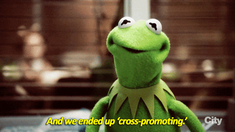 kermit the frog television GIF