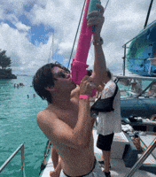 Party Summer GIF by Belligerent Bermuda