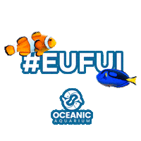 oceanicaquarium fish balneariocamboriu aquario oceanicaquarium Sticker