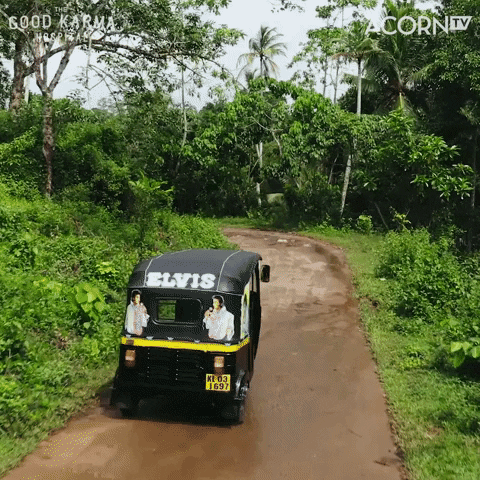 GIF by Acorn TV