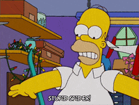 homer simpson episode 13 GIF