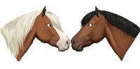 i love you horse Sticker by Star Stable