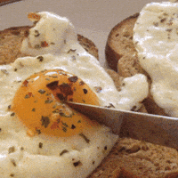 breakfast egg GIF