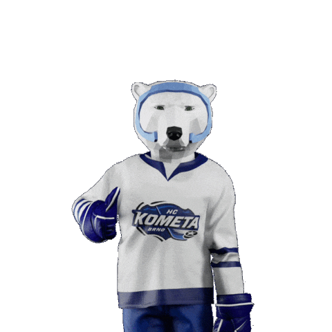 Hockey Hokej Sticker by Tipsport extraliga