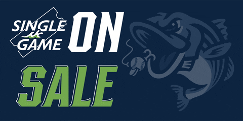 tickets GIF by Gwinnett Stripers