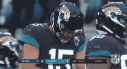 Regular Season Football GIF by NFL