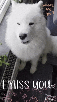 Hugs GIF
