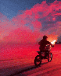 Donald Trump America GIF