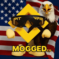 Pit Viper America GIF by Binance.US