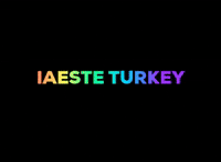 iaesteyildiz turkey turkiye istanbul halil GIF
