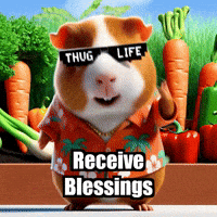 Gratitude Abundance GIF by Guinea Gambino