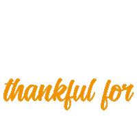 real estate thanksgiving Sticker by Signature Premier Properties