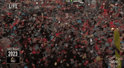 Nyre GIF by New Year's Rockin' Eve