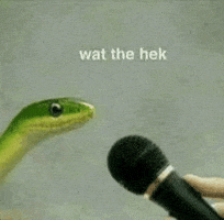 Confused What The Hell GIF
