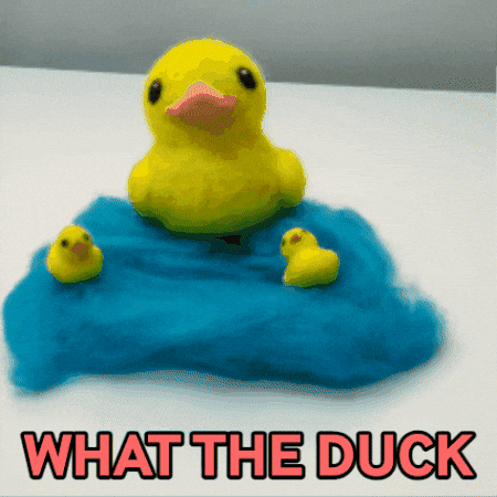 What The Wtf GIF