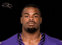 Baltimore Ravens GIF by Respective