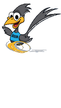 Dash Sticker by LRE