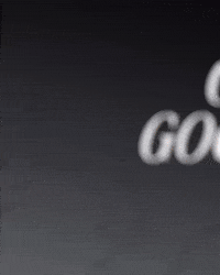 Vasco Da Gama GIF