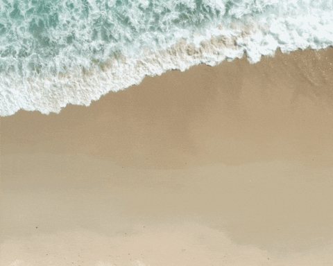 khigg514 giphyupload GIF