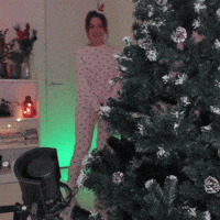 Embarrassed Merry Christmas GIF
