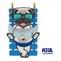 summer pug Sticker by Jose Cuervo