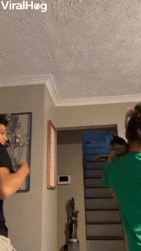 Boxing Match With a Kitten 