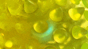 Inside Of A Plum GIF by Okay Kaya