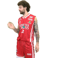 Basketball Serieb Sticker by Use Basket