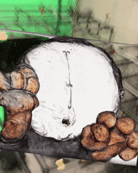 Lab Onf GIF by Alex Boya