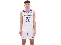Basketball Shrug Sticker by Delaware Blue Hens