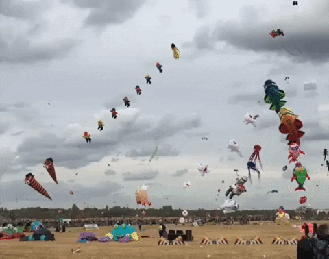 Kite Flying Festival GIF by Storyful