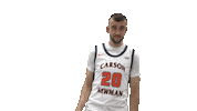 Archer Cnmb Sticker by Carson-Newman Athletics
