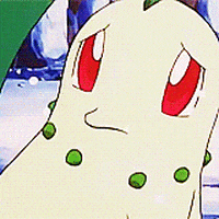 chikorita GIF