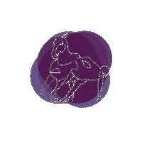 Sticker by Horseballesp
