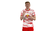 Motivate Come On Sticker by RB Leipzig
