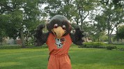 Bowling Green Gym GIF by Bowling Green State University
