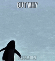 Penguin Mountain GIF