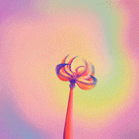 Illustration Flower GIF by Woodblock