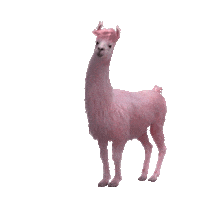 Dance Lol Sticker by Jules Mumm