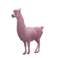 Sticker by Jules Mumm