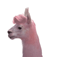 Dance Lol Sticker by Jules Mumm