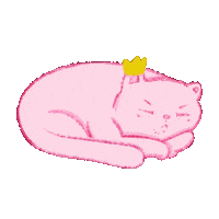 unicornisis cat animation cartoon sleep Sticker