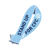 Boys In Blue Soccer Sticker by Chattanooga FC