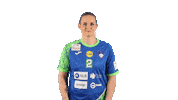 Handball Championship Sticker by EHF