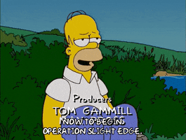 homer simpson GIF