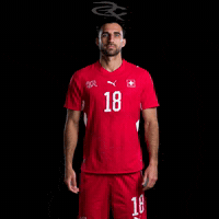 Fifa World Cup Switzerland GIF by Respective