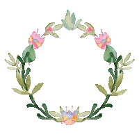 Daisy Flower Spring Sticker